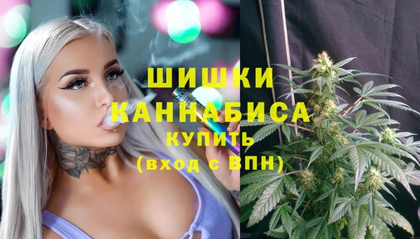 ешки Вязьма