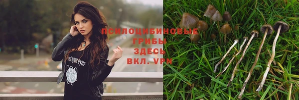 стафф Горнозаводск