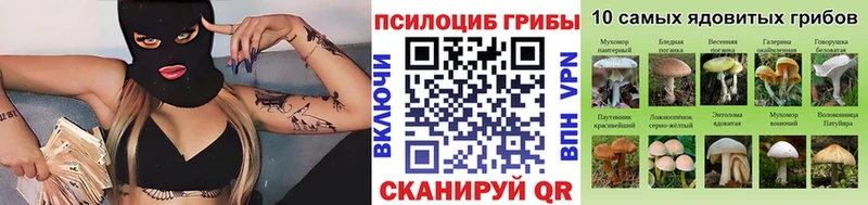 Псилоцибиновые грибы Psilocybine cubensis  где продают   Елабуга 